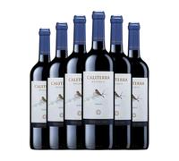 Vina Caliterra Merlot Valle de Colchagua Reserva 75 cl Vino tinto (Caja de 6 Botellas de 75 cl)
