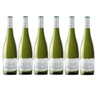 Viña Esmeralda, Vino Blanco - 6 botellas de 75 cl, Total: 4500 ml