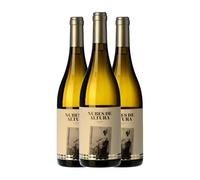Viña Gómez Nubes de Altura Vidueño Valle del Güímar Crianza 75 cl Vino blanco (Caja de 3 Botellas de 75 cl)