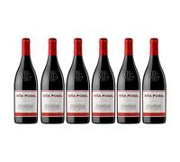 Viña Pomal | Vino Tinto Reserva Viña Pomal | Bodegas Bilbaínas | D.O.Ca. Rioja | Caja de 6 botellas de 75 cl