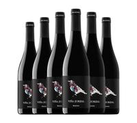 Viña Zorzal Graciano Navarra Joven 75 cl Vino tinto (Caja de 6 Botellas de 75 cl)