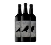 Viña Zorzal Nat Cool Graciano Navarra 1 L Vino tinto (Caja de 3 Botellas de 1 L)