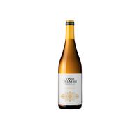 Viñas del Vero Chardonnay 2025