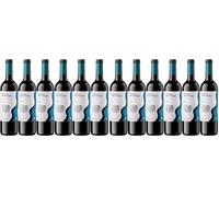 Viñas Del Vero Tinto Selección de Varietales - Vino D.O. Somontano - 6 botellas de 750 ml - Total: 4500 ml (Paquete de 2)