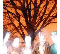 Vincent Black Shadow - More Deeper