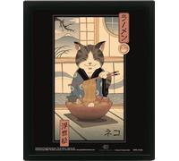 Vincent Trinidad Neko Ramen Ukiyoe Frame Book NUEVO