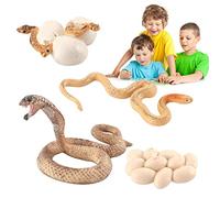 vincente Figuras de ciclo de vida, modelo de ciclo de vida, figura de serpiente, ayuda de aprendizaje para niños, incluyendo huevos de serpiente, deslizamientos, joven de serpiente, serpientes adultos