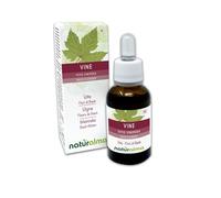 Vine o Vid (Vitis vinifera) Remedios florales Naturalma - Gotas 30 ml - Extracto líquido sin alcohol - Esencias florales - Vegano y libre de alcohol