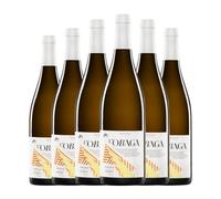 Vinícola del Priorat L'Obaga Blanc de Negres Garnacha Priorat 75 cl Vino blanco (Caja de 6 Botellas de 75 cl)