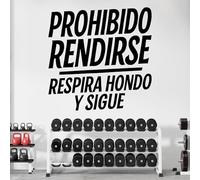 Vinilo Adhesivo con Frase Motivadora "Prohibido Rendirse, Respira Hondo y Sigue", Pegatina Decorativa para Gimnasio, Oficina o Casa, Decoración Inspiradora de Pared con Mensaje (Negro, 115 x 115 cm)