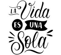 Vinilo Adhesivo Frases Motivadoras Pared Dormitorio Decorativo Espejo Familia Hogar Pegatina Adhesiva Cocina Adolescentes Habitación (23x30cm, La Vida Es Una Sola)