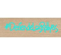 Vinilo de Corte Pegatina Defiende los Rallyes 20x4cm sticker decal autocollant (Menta)
