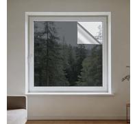 Vinilo Pet Película Adhesiva Lámina 115 x 180 cm Privacidad Protege del Sol Protección Solar para Interior No Pegamento para Hogar Oficina Tienda, Gris Plata