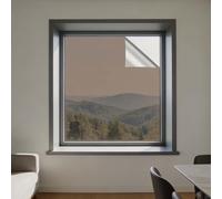 Vinilo Pet Película Adhesiva Lámina 96 x 145 cm Privacidad Protege del Sol Control de Calor para Ventanas Autoadhesiva para Hogar Oficina Tienda, té de Plata