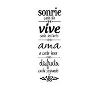 Vinilo removible Arte Mural Sonrie Cada Dia Vive Sonríe Cada Dia Español Para Sala Dormitorio Decoración Del Hogar Adhesivo De Pared Pequeño - 19x59cm