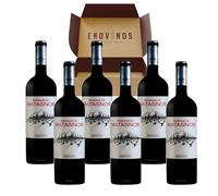 Vino Bosque de Matasnos - 6 x Botella de Vino Tinto 75 cl - Ribera del Duero - Envío 24H - Mejor Selección ENOVINOS