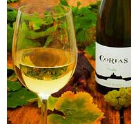 VINO DE CANGAS DOP BLANCO JOVEN GUILFA (75 cl.)