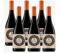 Vino de Toro Bernardo Fariña-Pérez 2024 (6 x 75 cl.) - Vino tinto de elaboración natural con 4 meses en Barrica - Vino tinto elaborado con Tinta de Toro (6 Botellas 75 cl.)