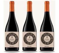 Vino de Toro Bernardo Fariña-Pérez 2024 - Vino tinto de elaboración natural con 4 meses en Barrica - Vino tinto elaborado con Tinta de Toro (3 botellas 75 cl)