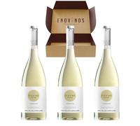 Vino Luar Do Sil Godello 2023 Nueva Añada - x3 Botellas Vino Blanco de Ourense 100% Godello - Bodega Pago de los Capellanes 75 cl - Mejor Selección ENOVINOS