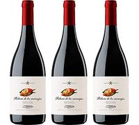 Vino Mencía Barrica Ribera de los Naranjos - D.O. Ribeira Sacra - Pack 3 botellas
