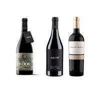 vino Ribera del Duero ofertas 8000 Marqués de Burgos, Aalto Blanco de Parcela y Carmelo Rodero 9 Meses pack tres botellas 75 cl