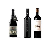 vino Ribera del Duero ofertas 8000 Marqués de Burgos, Aalto PS y Alexander vs The Ham Factory pack tres botellas 75 cl