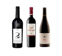 vino tinto 1848 2nd Generation Syrah, 200 Monges Tinto Reserva y 3 Viñerones Sedal pack de tres botellas 75 cl