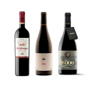 vino tinto 200 Monges Tinto Reserva, 3 Viñerones Sedal y 8000 Marqués de Burgos pack de tres botellas 75 cl
