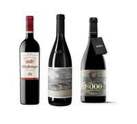 vino tinto 200 Monges Tinto Reserva, 4kilos y 8000 Marqués de Burgos pack de tres botellas 75 cl