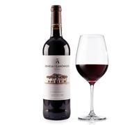 vino tinto magnum Dehesa de los Canónigos 15 Meses selección gourmet - 1 botella magnum 1,5 L