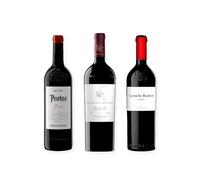 vino tinto Ribera del Duero Protos 3er Año, Pago de los Capellanes Crianza y Carmelo Rodero Crianza pack de 3 botellas 75 cl