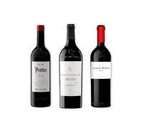 vino tinto Ribera del Duero Protos 3er Año, Pago de los Capellanes Reserva y Carmelo Rodero Crianza pack de 3 botellas 75 cl