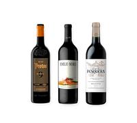 vino tinto Ribera del Duero Protos 9 Meses, Emilio Moro Vendimia Seleccionada y Pesquera Reserva pack de 3 botellas 75 cl