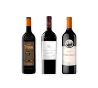vino tinto Ribera del Duero Protos 9 Meses, Pago de los Capellanes Crianza y Malleolus pack de 3 botellas 75 cl