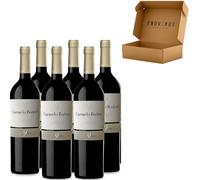Vino Tinto Roble Ribera del Duero Carmelo Rodero 9 Meses 2024 - Envío 24 h - Ribera del Duero - Vino Regalo - Nueva Añada - Caja 6 x Botella 75 cl- Mejor Seleccion ENOVINOS THE WINE BRAND