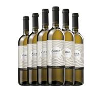Vinos Sanz Sauvignon Blanca Rueda Joven 75 cl Vino blanco (Caja de 6 Botellas de 75 cl)