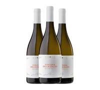 Vinosìa Fontana della Loggia Falanghina Irpinia Falanghina 75 cl Vino blanco (Caja de 3 Botellas de 75 cl)