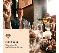 Vinovilla 7 Built-in Onyx Frigorífico integrado para vinos cristal negro Acero inoxidable