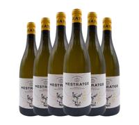 Vins Identitaris Mestratge Xarel·lo Penedès Joven 75 cl Vino blanco (Caja de 6 Botellas de 75 cl)