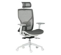 Vinsetto Silla de Oficina Giratoria Silla de Escritorio Ajustable en Altura con Reposabrazos Reposacabezas y Soporte Lumbar Regulables Respaldo Alto 67x65x120-128 cm Gris