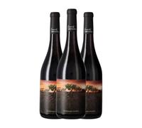 Vintae Olvidada de Aragón Garnacha Calatayud 75 cl Vino tinto (Caja de 3 Botellas de 75 cl)