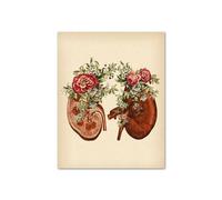Vintage anatomía humana corazón hígado riñón pulmón cuadro sobre lienzo for pared carteles e impresiones cuadros de for decoración for sala estar(8,21x30cm Canvas)