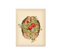 Vintage anatomía humana corazón hígado riñón pulmón cuadro sobre lienzo for pared carteles e impresiones cuadros de for decoración for sala estar(2,15x20cm Canvas)