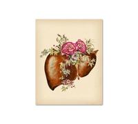 Vintage anatomía humana corazón hígado riñón pulmón cuadro sobre lienzo for pared carteles e impresiones cuadros de for decoración for sala estar(5,21x30cm Canvas)