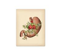 Vintage anatomía humana corazón hígado riñón pulmón cuadro sobre lienzo for pared carteles e impresiones cuadros de for decoración for sala estar(3,21x30cm Canvas)