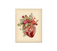 Vintage anatomía humana corazón hígado riñón pulmón cuadro sobre lienzo for pared carteles e impresiones cuadros de for decoración for sala estar(6,20x25cm Canvas)