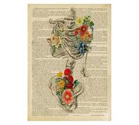 Vintage anatomía humana Haslet corazón lienzo pintura Retro esqueleto Floral pared arte carteles impresiones imágenes clínica habitación decoración del hogar(YT1170,70X100cm no frame)