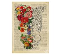 Vintage anatomía humana Haslet corazón lienzo pintura Retro esqueleto Floral pared arte carteles impresiones imágenes clínica habitación decoración del hogar(YT1163,70X100cm no frame)