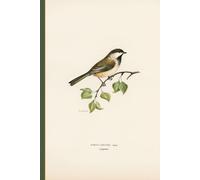 Vintage Bird Christmas Notebook: Nostalgic Holiday Planner for Lists, Notes, Recipes & Gift Ideas